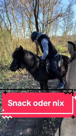 Snack oder Nix @Annika.S8 #equestrian #pferde #reels #shorts #viral