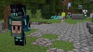 26K views · 800 reactions | Playing fetch with a Wolf using the new Tennis Ball gadget on the Hypixel Server! | Hypixel Server Network for Minecraft | Facebook