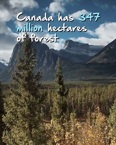 Is Canada on your bucketlist? 🏕🏔 | Real Gap Experience