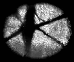 New low-cost #smartphone #confocal attachment demonstrates impressive 2 um XY and 5 um Z resolution! Video below of live human skin shows a number of important cellular structures. This #microscope system could be a valuable tool for disease diagnosis in resource-poor areas. https://bit.ly/2TV4N6W | Nikon Microscope Solutions