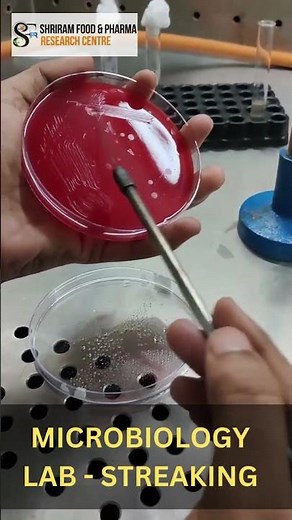 Food Microbiological Testing, NABL Accredited Lab in Delhi #foodmicrobiology #foodtesting