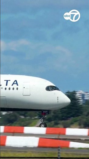 Unruly passenger partially opens door on Delta flight headed to Chicago O'Hare airport