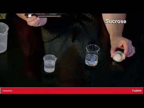Intramolecular Forces Lab: 3. Conductivity