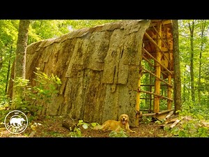 4 Dogs, 4 Guys Build a Longhouse Using Hand Tools and Natural Materials | Bushcraft