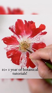 🎉 Over 300 tutorials! 🖌️ 10 1 Years of painting joy! 🌸 25% off all memberships! - Our BIGGEST discount yet! https://bit.ly/3g3TPfr Monthly memberships was £13.99 NOW £10.50 ⭐️USE CODE MONTH25 Annual membership was £139.99 NOW £105.00 ⭐️USE CODE YEAR25😊 I am so thrilled to make this milestone with our online school of botanical art!….I wonder if we can say we’re one of the longest running online botanical art sites! 💕A big thank you to all my members for making it what it is! 🖌️And a huge h
