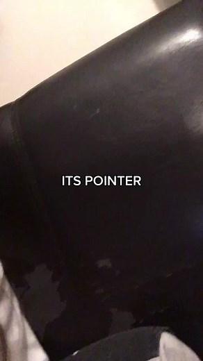 Mastering the Art of Pointing Gestures