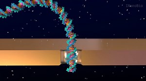 2. What is Nanopore DNA Sequencing ?