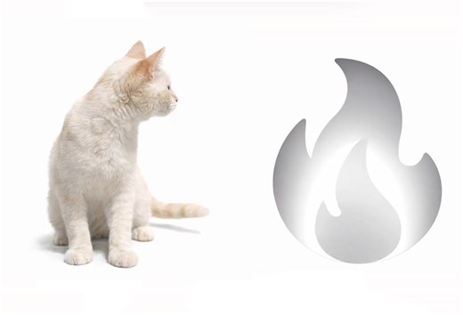 La Racha: Gato Milo se despide de su dueña 😱🔥