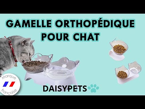 GAMELLE ORTHOPÉDIQUE POUR CHAT 🐱