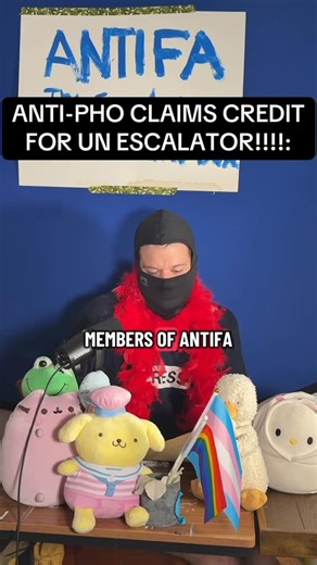 Steve Tapas on Instagram: "Anti-Pho communiques are so cute :) #politics #america #news #comedyreels #satire please comment y these drips are so angry:"