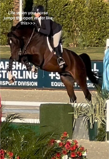 Stunning Moments of Horses Jumping Water Obstacles