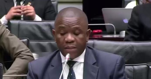 Mkhwanazi says money from the SAPS secret fund was used to build a perimeter wall at the late SA ambassador to France Nathi Mthethwa's home, who was, at one time police minister. "That was money from crime intelligence... nobody was held accountable but reports are there," he says. | News24/7 Update