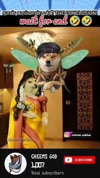TAG THAT NEW MAPLAI PART 2🤣🤣Cheems dog funny tamil 🤣 #cheems #cheemstamil #funny #shorts #trending