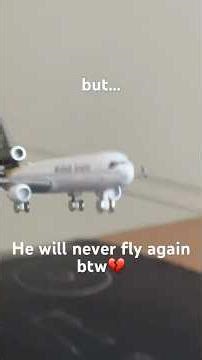 MD-11 tribute😔 #aviation #aviationlovers #airplane #md11 #fy #fyp #tribute