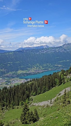 Cogwheel Train ride Schynige Platte🇨🇭. #switzerland #schynigeplatte | Cebu South Travel Guide