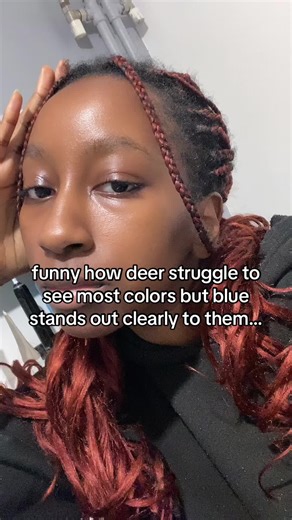 so if alastor sees like a deer, vox is the only one that stands out to him :) #hazbinhotel #alastor #vox #radiostatic explaination: deer are dichromatic which means they have only two types of color receptors in their eyes and they can’t really distinguish red and orange well. These colors appear dull to them. But! they are most sensitive to blue and ultraviolet light so these colors stand out clearly to them! 🤓☝🏾