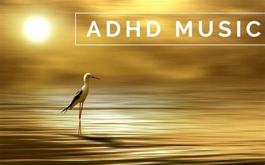 ADHD Focus Music 专注学习|集中注意力|白噪音|