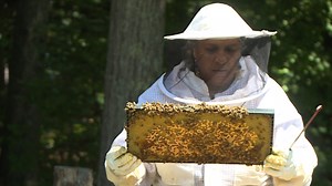 Why Dr. Hollee Freeman created City Bees RVA
