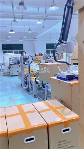 Intelligent collaborative palletizer for large packaging cartons, palletizing weight 50 kg.