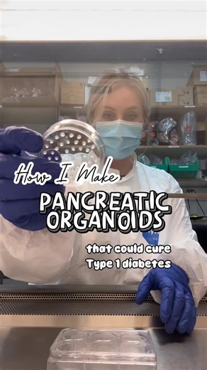Caterra | T1D💉| PhD student 🧬 | Here’s how we make organoids - aka mini organ systems - in the lab! 🔬🧬 These tiny structures could one day help us treat or even cure Type... | Instagram