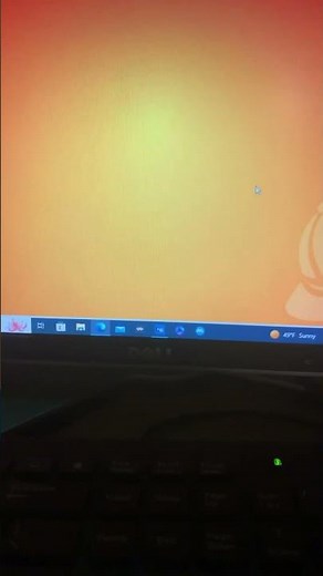 Rainbow Panda in blooket