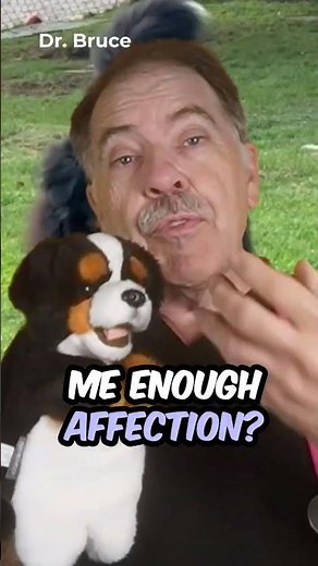 If Your Dog Doesn’t Like to Cuddle
