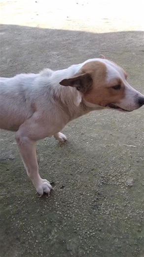 ‏good time #foryou #foryoupage #videoviral #tiktok #unfreezemyaccount