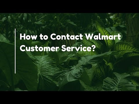 How to Contact Walmart Customer Service?