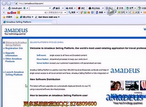 Amadeus系统的操作视频教程