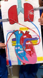 19 reactions | Our students from Grade nine presented their project work on human heart. Eight different teams prepared their own modules and presented to students from class four to ten. Watch on YouTube: https://youtube.com/shorts/EIf8TGAL99M?si=AMwABO4Mt2gXRp0J | Dynamic Public School | Facebook