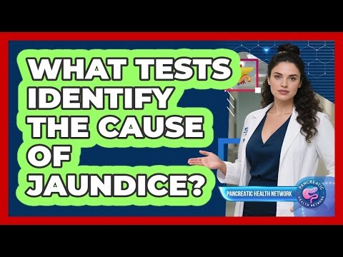 What Tests Identify the Cause of Jaundice?
