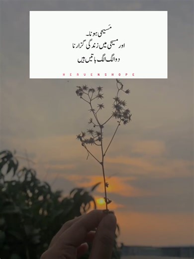 Masihi Geet Zaboor: TikTok Creator Insights