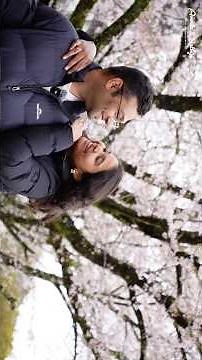 🇯🇵 Cherry Blossom Vibes in Japan 🌸✨ | Sakura Streets to Paradesia Beats 🎶