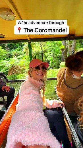 Driving Creek Railway: NZ's Unique Railway Experience!