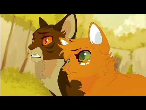 Les plus beaux chats de LGDC partie 1