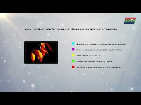 10.1" ультратонкий безрамочный алюминиевый дисплей DMG12800C101_A1WTC