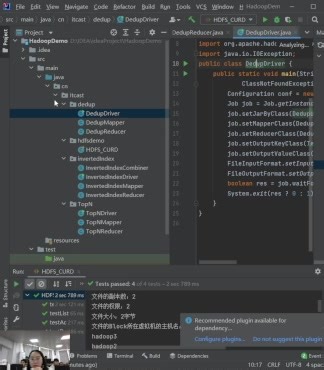 大数据技术-MapReduce分布式计算框架-数据去重