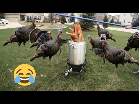 Kitchen Fails That Will Make You Laugh Out Loud! #funny #viral #kitchenfail #cookingfail 