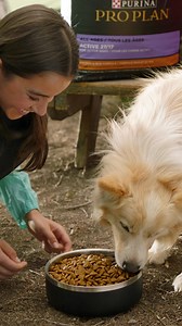 With the fine-tuned nutrition in Pro Plan Sport at PetSmart, your active dog will be ready for a lifetime of adventures. | PetSmart | Facebook