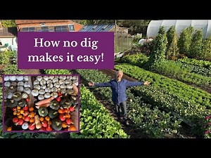 No dig soil is always ready for second plantings through summer, many examples by equinox