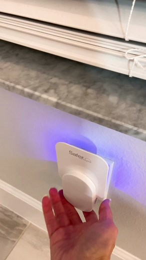 Effective Fruit Fly Control Tips for Your Kitchen