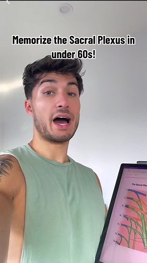 Memorize the Sacral Plexus in Under 60 Seconds! Tips for Med Students