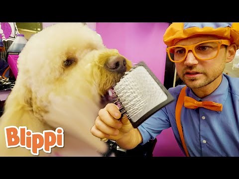 I Love Pets Song - Rescue Puppies - Blippi! Songs for Kids!