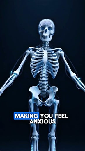 What Happens If You Don’t Sleep For 24 Hours #humanbody #shorts