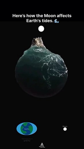This is how the Moon affects the Earth’s tides 🌊 The tides on Earth are primarily caused by the gravitational pull of the moon and the sun. However, the moon’s orbit around Earth also plays a crucial role. As the moon orbits our planet, its gravitational force pulls on the Earth’s oceans, creating bulges of water. These bulges move around the planet as the Earth rotates, leading to the rise and fall of sea levels, known as tides. The moon’s orbit and its relative position to the Earth and sun l