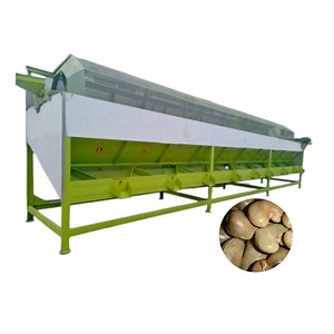 [Hot Item] Industrial Raw Cashew Sorting Grading System for Nut Snack Processing