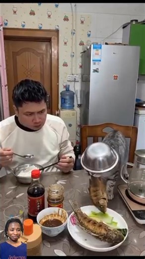 😱human vs cat battle 😅😭