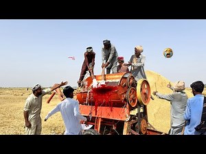 ​Al-Ghazi Tractor Extreme Power on Wheat Thresher | Professional Harvesting Techniques | 4K Ultra HD