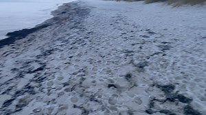 Auch bei minus 3 Grad ist Saphira mit Spaß unterwegs. | Hermann Köcher