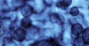 Microscope cells, bacteria or cancer study in laboratory, science room or research hopsital for medical vaccine. Zoom on covid particles, futuristic healthcare analytics or pattern texture background